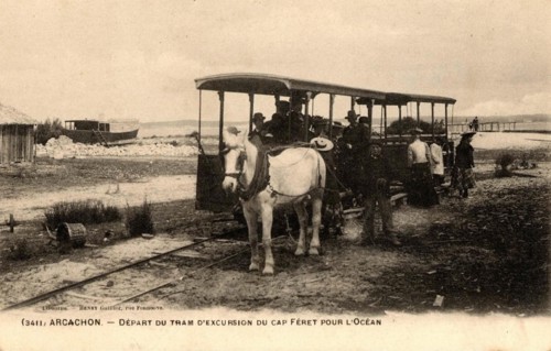 CAP-FERRET