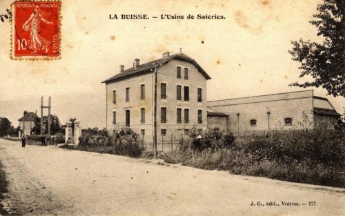BUISSE