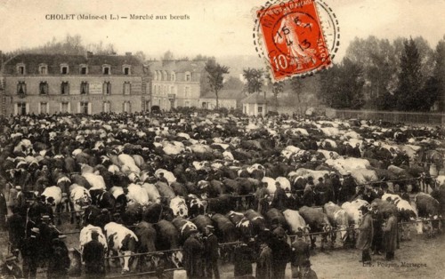 CHOLET