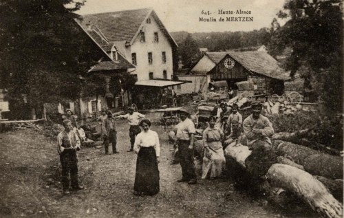 MERTZEN