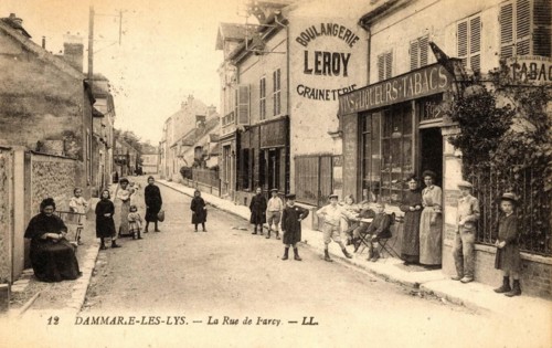 DAMMARIE-LES-LYS