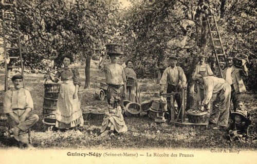 QUINCY-VOISINS-SEGY