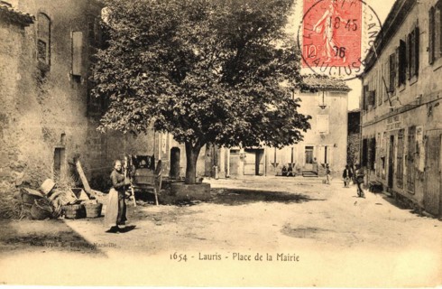LAURIS