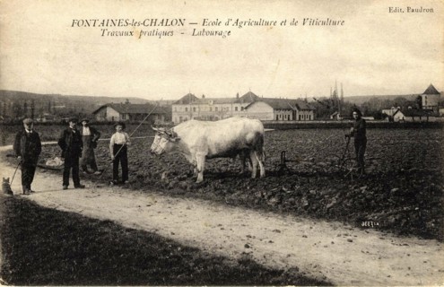FONTAINES