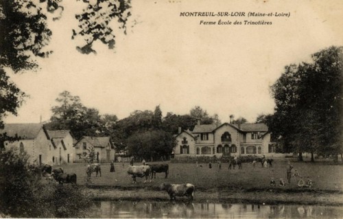 MONTREUIL-SUR-LOIR