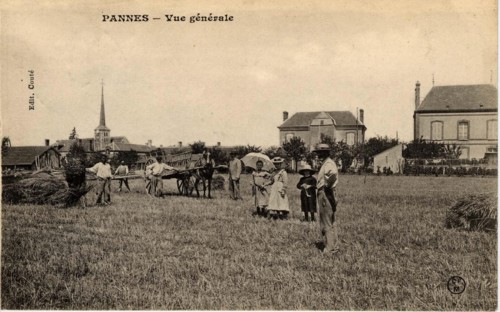 PANNES