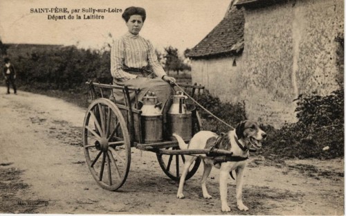 SAINT-PERE-SUR-LOIRE