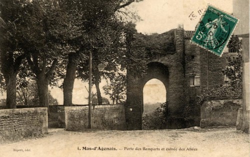 MAS-D_AGENAIS
