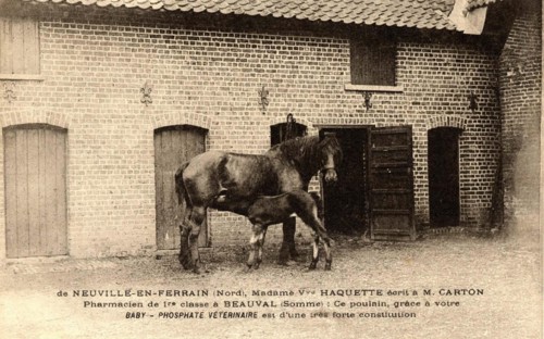 NEUVILLE-EN-FERRAIN