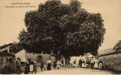 CHIGNY-LES-ROSES