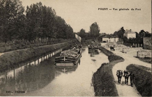 POGNY