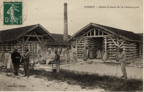 POGNY