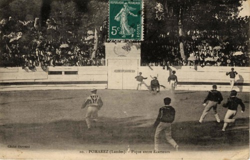 POMAREZ