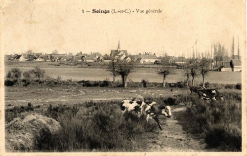 SOINGS-EN-SOLOGNE