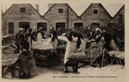 LOCTUDY