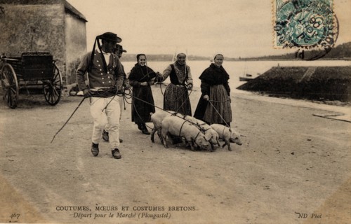 PLOUGASTEL-DAOULAS