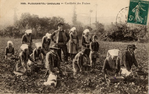 PLOUGASTEL-DAOULAS