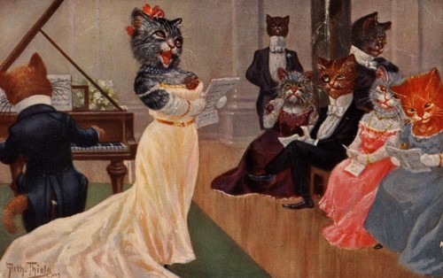 ANIMALS-CATS