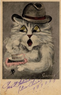 ANIMAUX-CHATS