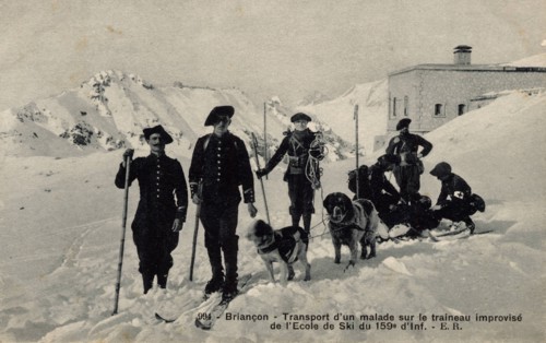 ANIMAUX-CHIENS