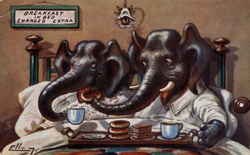 ANIMAUX-ELEPHANTS