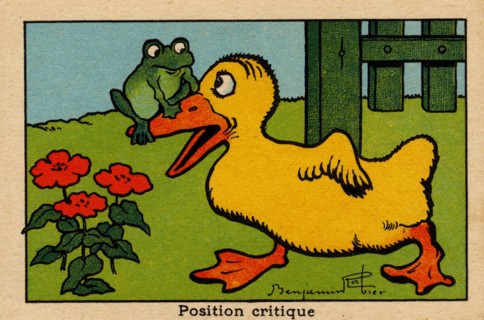 ANIMAUX-GRENOUILLES