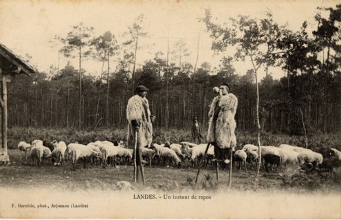 Landes