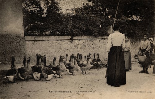 Lot-et-Garonne