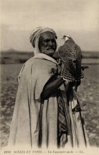ANIMALS-BIRDS