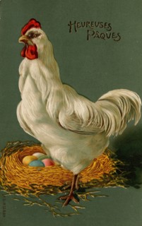 ANIMAUX-POULES