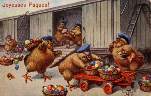 ANIMALS-CHICKENS