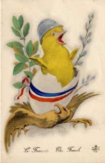 ANIMAUX-POUSSINS