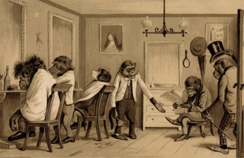 ANIMAUX-SINGES