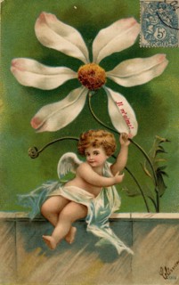 ANGES