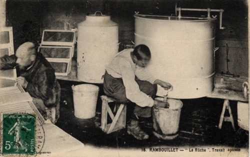 APICULTURE
