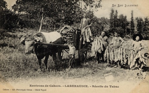 TABACCO SHOP