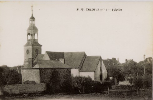 TAILLIS