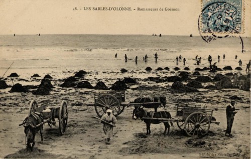 SABLES-D_OLONNE