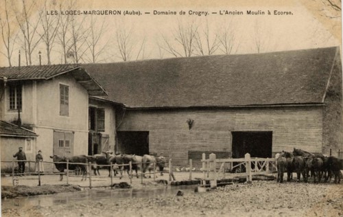 LOGES-MARGUERON