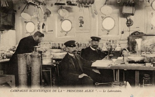 POLAR EXPEDITION