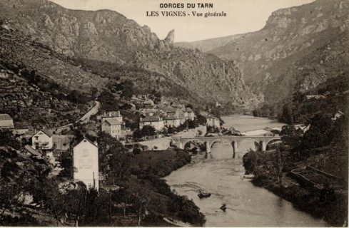 VIGNES