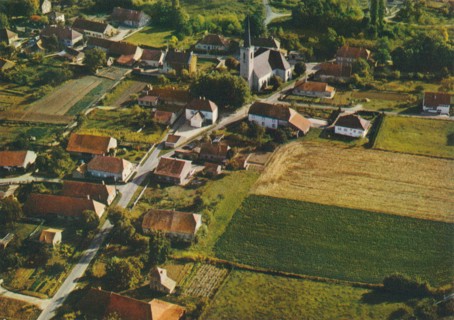 PETIT-NOIR