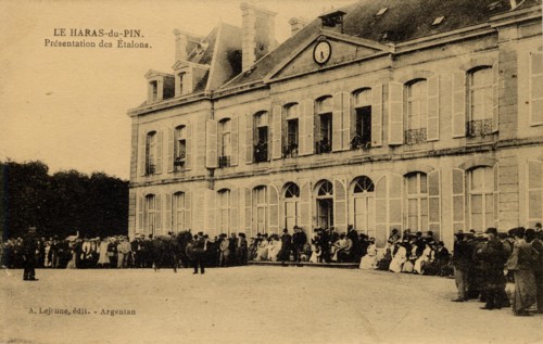 HARAS-DU-PIN