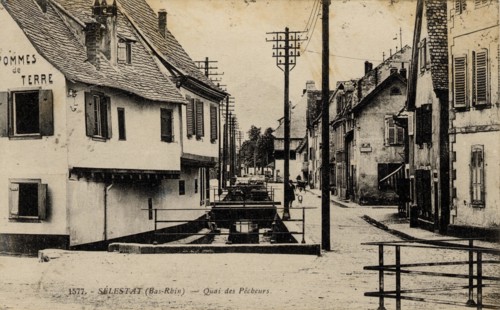 SELESTAT