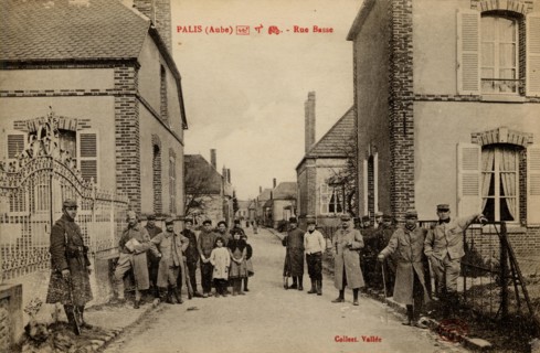 PALIS