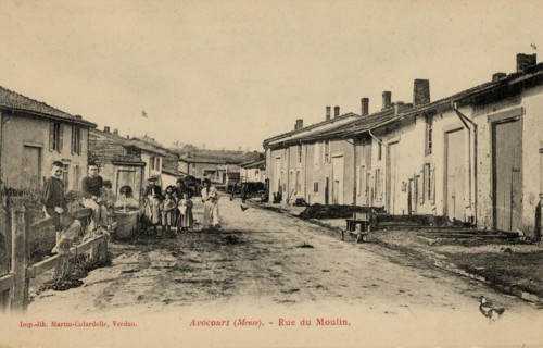 AVOCOURT