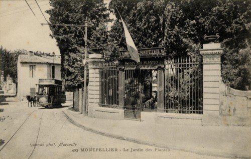 MONTPELLIER
