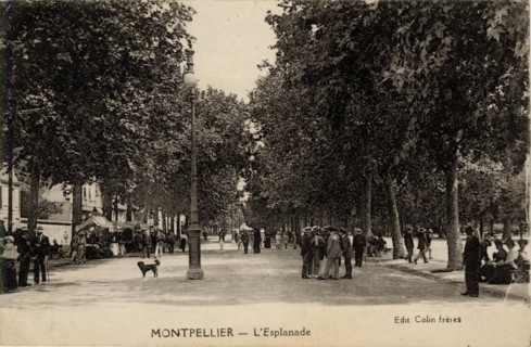 MONTPELLIER
