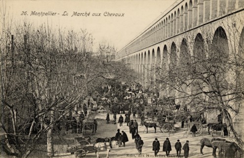 MONTPELLIER