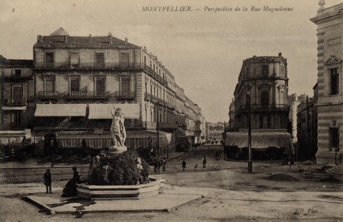 MONTPELLIER